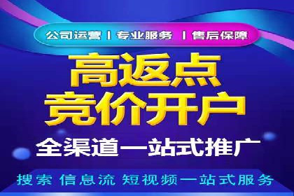 百度竞价托管外包案例：打造行业领军品牌
